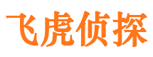 阳山市调查公司